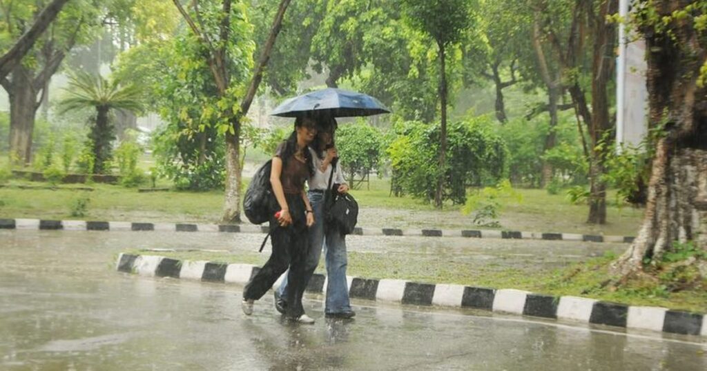 Punjab on Heavy Rain Alert Aug 11-13: IMD Warns of Downpours, Showsers Across State