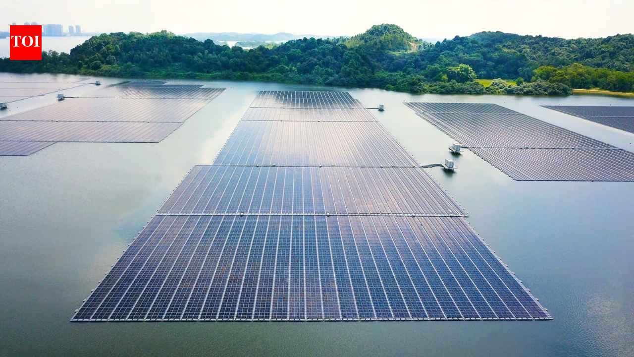 Singapore covered a reservoir with 122,000 floating solar panels; it now powers 5 water-treatment plants and cuts 32,000 tonnes of CO₂ every year Singapore covered a reservoir with 122,000 floating solar panels; it now powers 5 water-treatment plants and cuts 32,000 tonnes of CO₂ every year