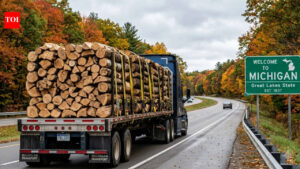 Michigan to Bar Untreated Firewood From Entering the State Starting January 2027