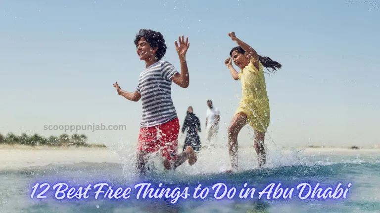 12 Best Free Things to Do in Abu Dhabi for Culture, Nature, and Relaxation 12 Best Free Things to Do in Abu Dhabi for Culture, Nature, and Relaxation