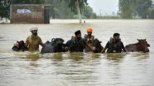 Punjab Floods 2025- What’s Going On in Punjab Punjab Floods 2025- What’s Going On in Punjab